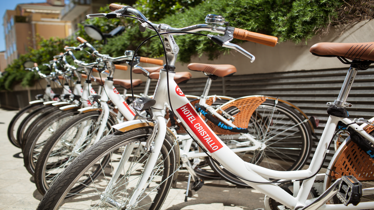 Hotel Hotel Cristallo, Italien, Rimini. Großes 26