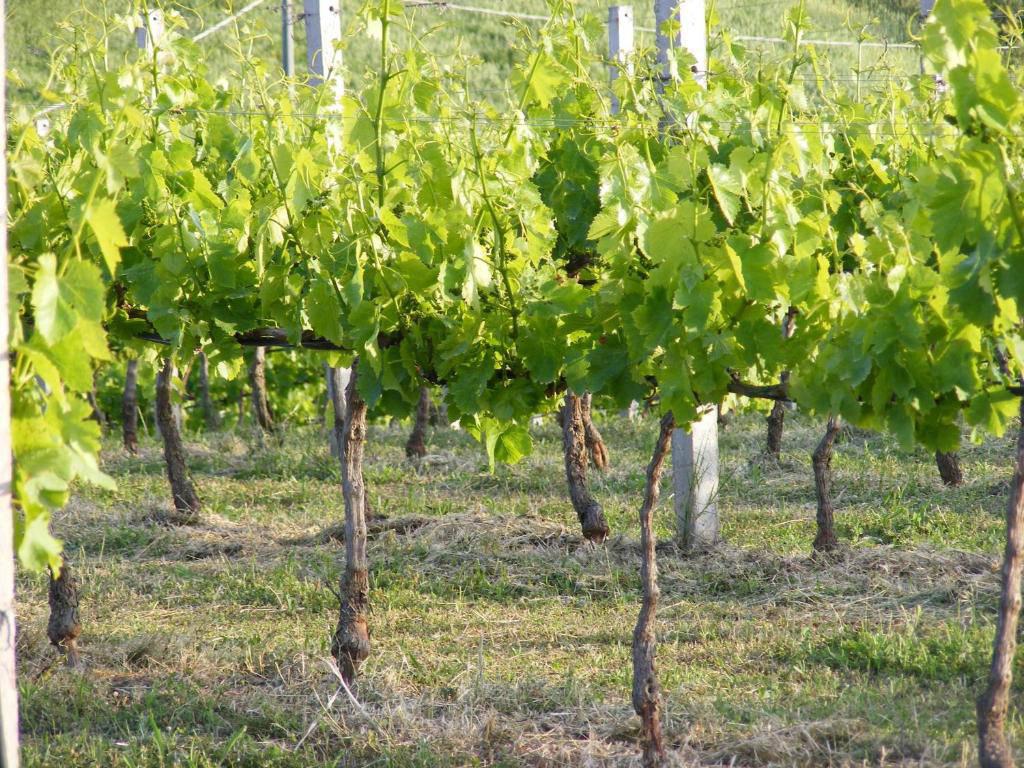 Hotel Su Vrau Agriturismo, Italien, Posada. Großes 2